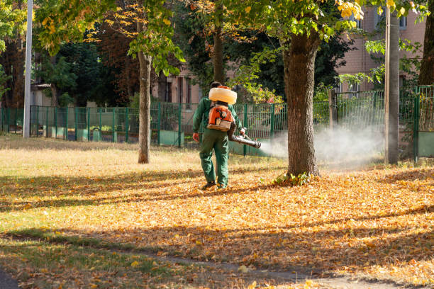 Best Affordable Pest Control Services  in Neoga, IL