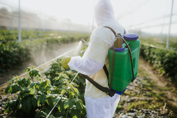 Best Best Pest Control Companies  in Neoga, IL